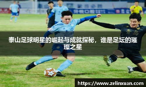 智博19有限公司